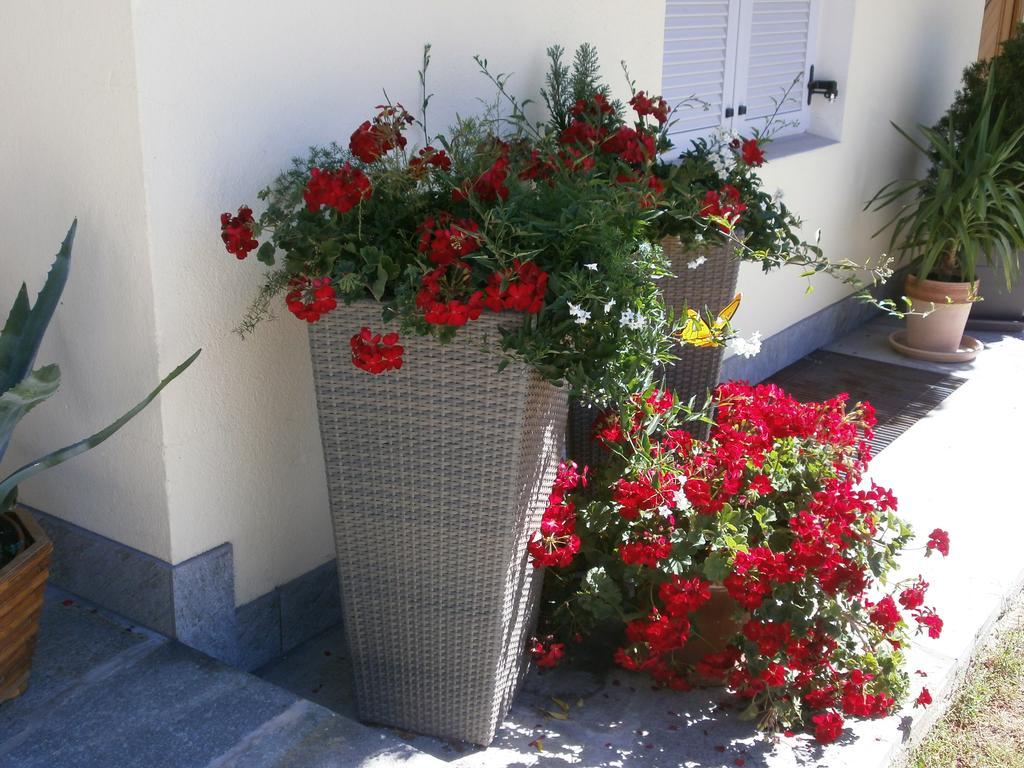 Garni Hattlerhof B&B Brunico Zewnętrze zdjęcie
